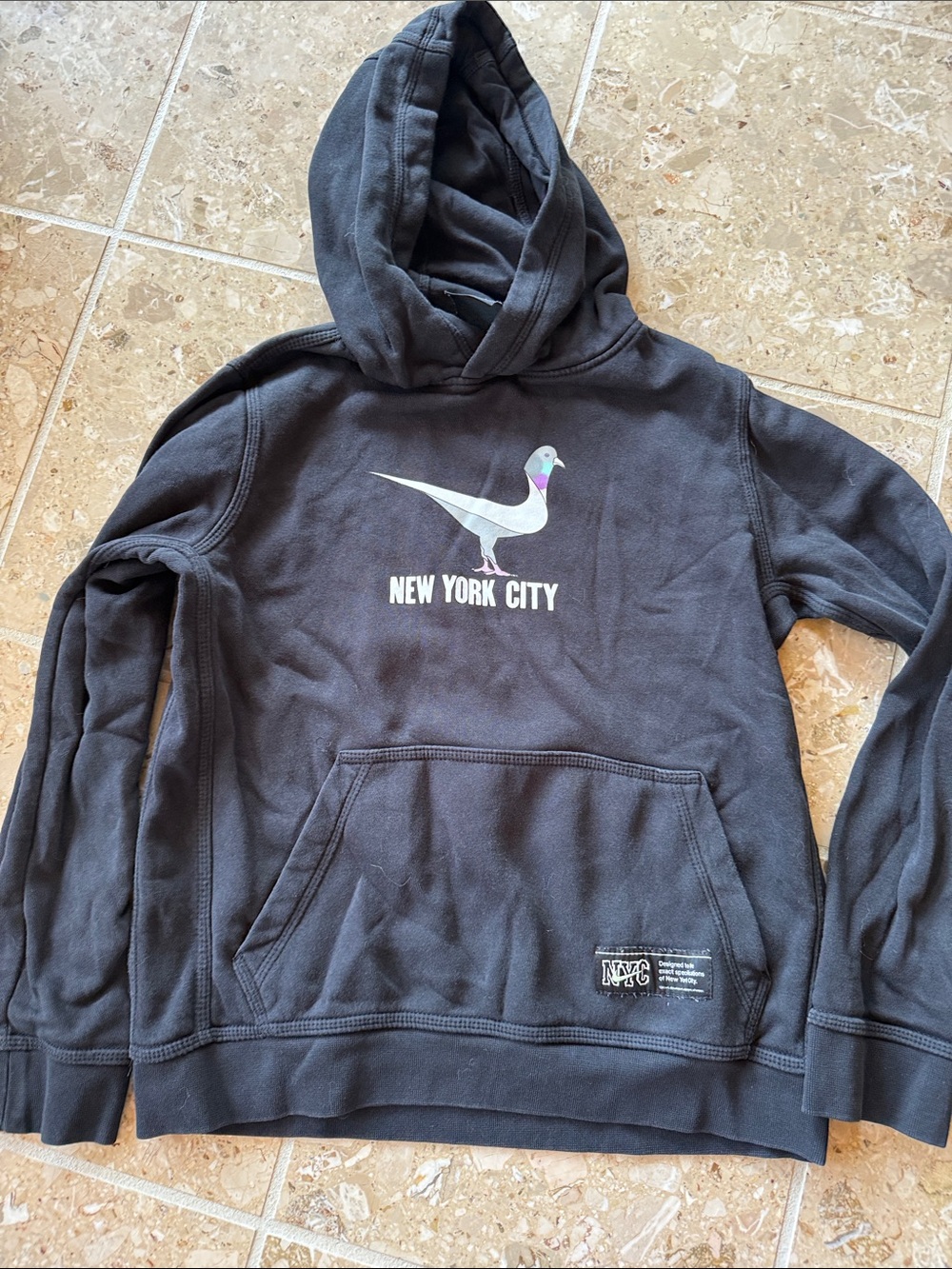 Nike Boys NYC Pigeon Swoosh Graphic Pullover Hoodie – Size Large (L)